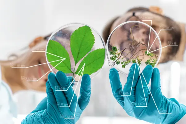 Environmental Science in Belgium